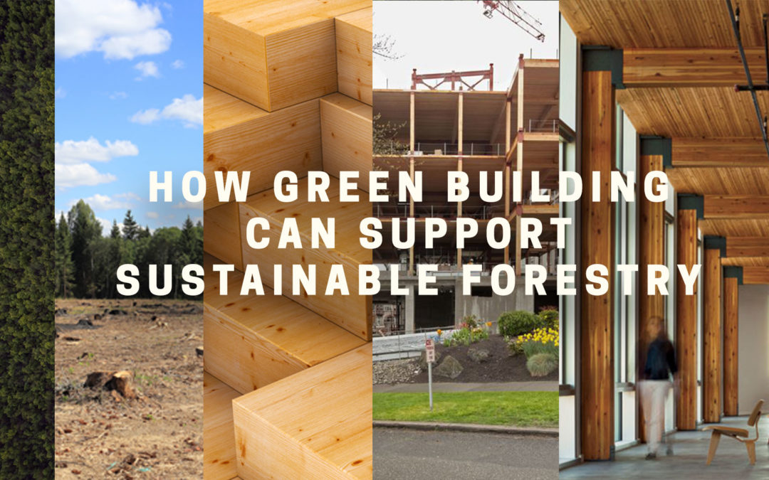 How Green Building Can Support Sustainable Forestry: Jason F. McLennan on upcoming panel in Seattle