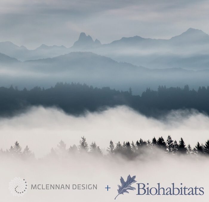 McLennan Design Forms Strategic Partnership with Biohabitats